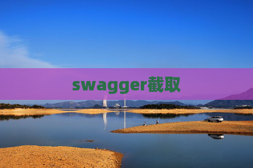 swagger截取